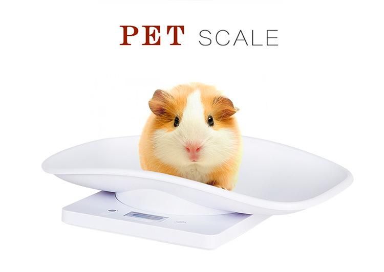 Portable Digital Electronic Kitchen Pet Weighing Scale