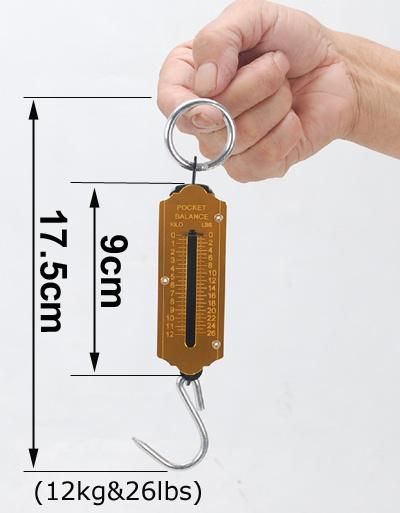 12kg Mechanical Hook Scale Spring Scale