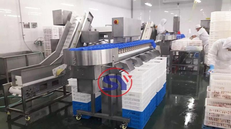 1-2000g Weight Grade Sorting Measuring Machine for Chicken Meat Paw Leg