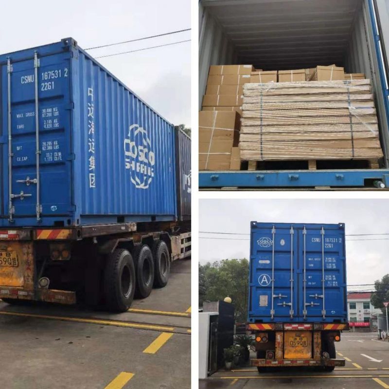 Hermetically Sealed Alloy Steel Ocs SL 3t 5t 10t Heavy Duty LED Display Bluetooth Crane Scale