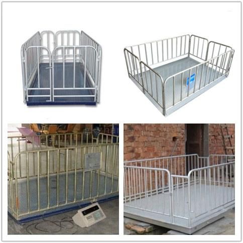 Livestock Platform Scales for Cattle Weighing Animals Cage Cheap