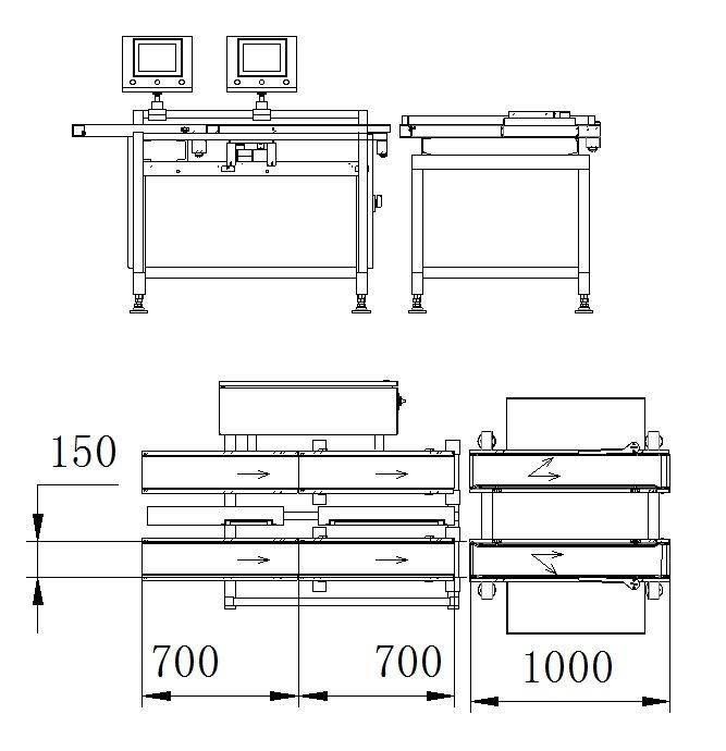 Dual Lines in-Motion Check Weigher