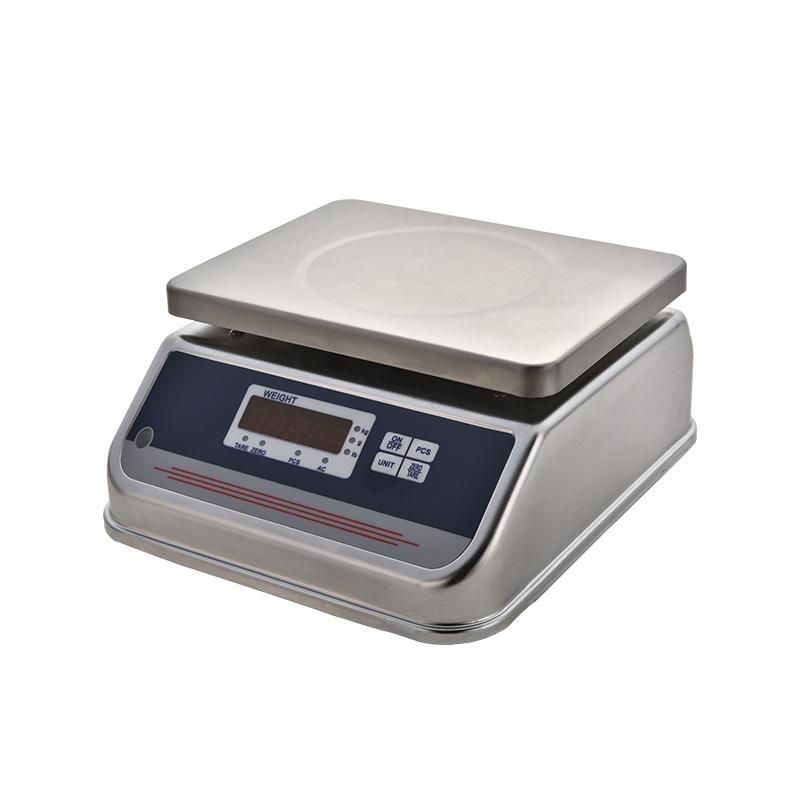 Digital Stainless Portable Weighing Scale
