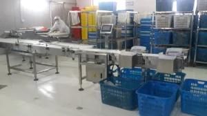 Automatic Stainless Steel High Precision Checkweigher