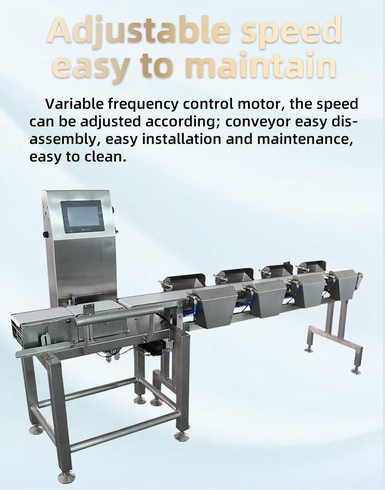 Chicken Product Shrimp Sorter for Fish Accurate Automatic Weight Grading Sorting Machine