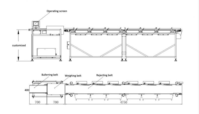 Export Fish Sorting Machine with Good Performance