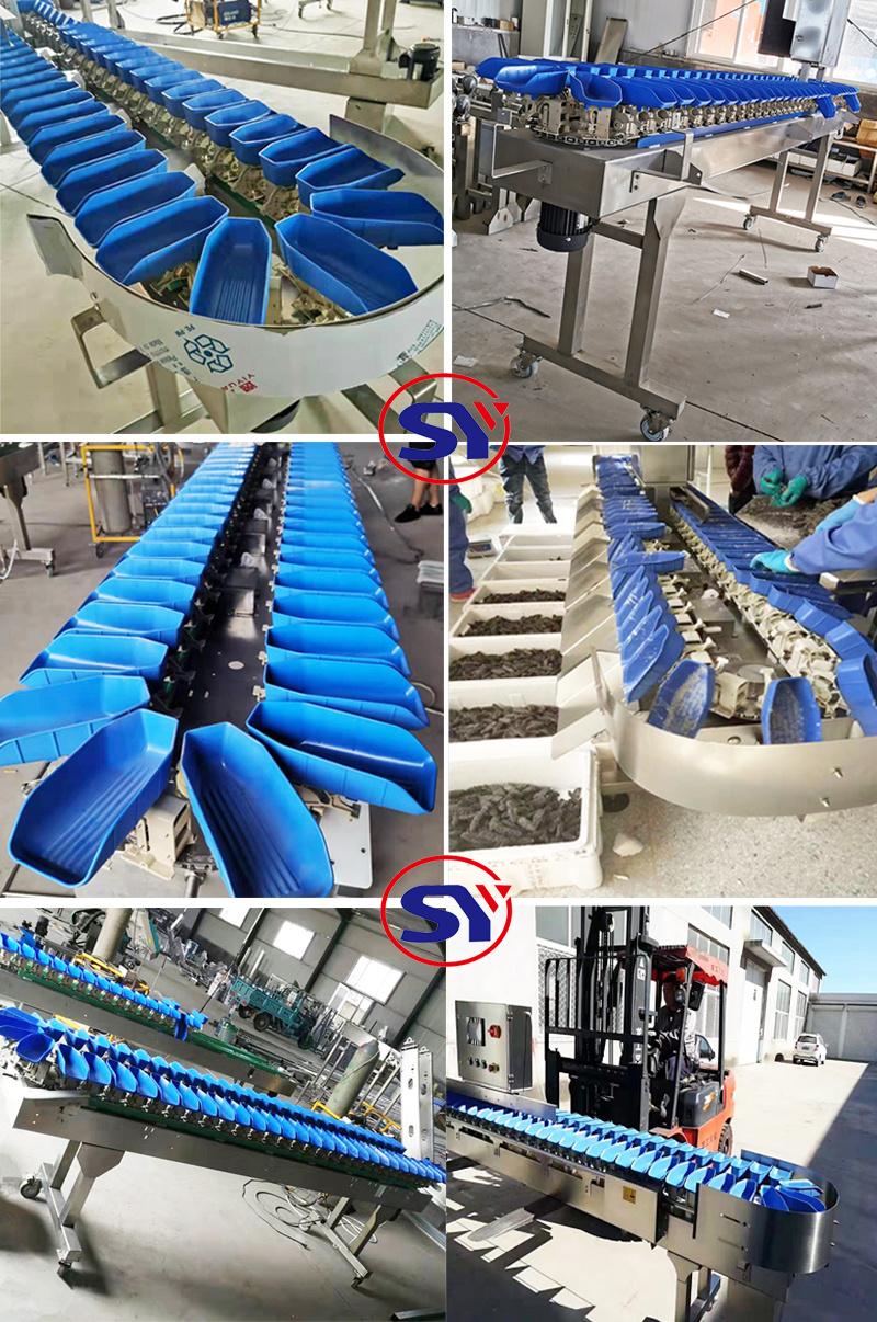 1-2000g Weight Grade Sorting Measuring Machine for Chicken Meat Paw Leg