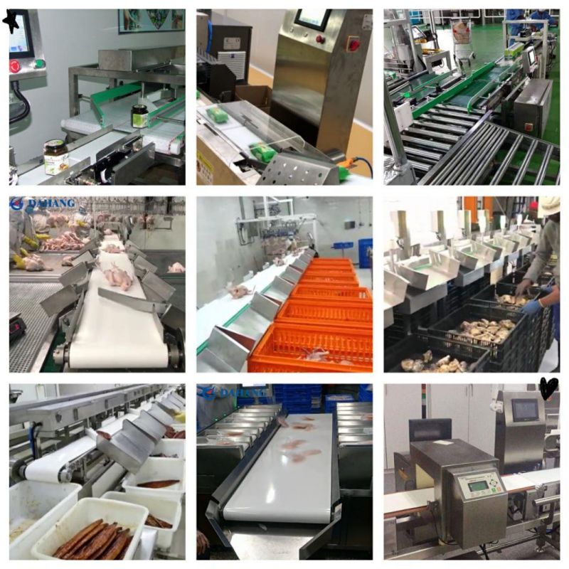 Dairly Products Industry Conveyor Belt Weight Check Machine Check Weigher