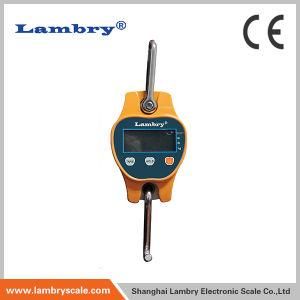 Lambry Mini Hanging Crane Scale (HCS)