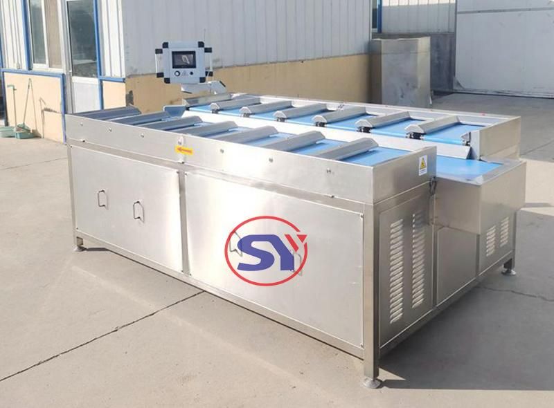 SUS304 Target Weighing and Batching Machine for Carrots Cucumber