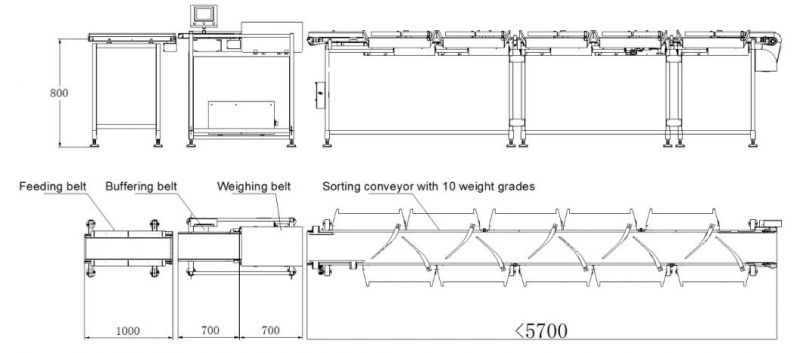 Fresh Fish Weight Sorting Machine with High Speed