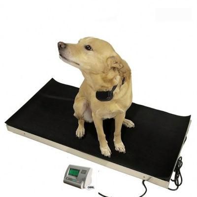 for Livestock Cattle Dog with Stainless Steel Hog Digital Scale Farm Scales &amp; Sheep Weighing