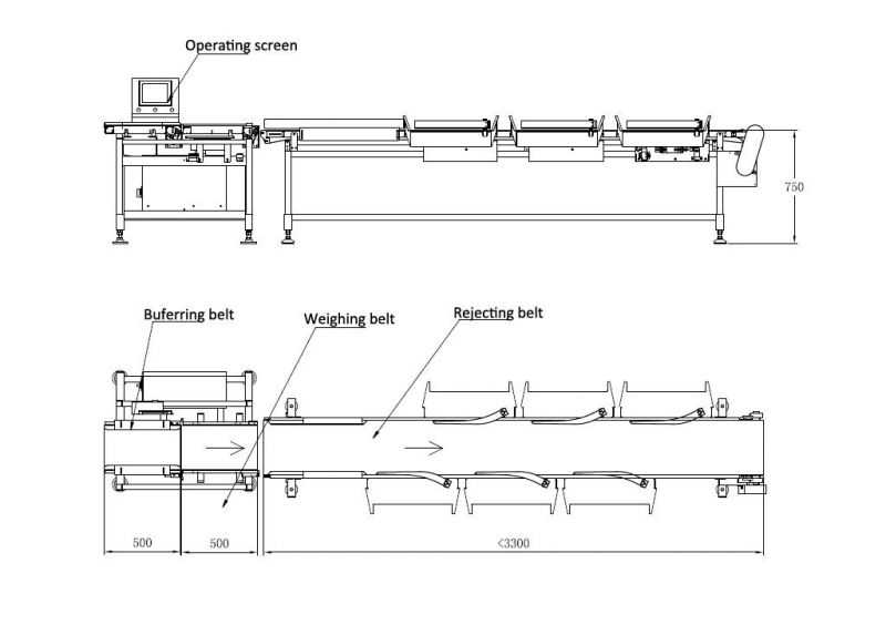 Seafood Industry Weight Sorting Machine for Yellow Croaker Marine Fish