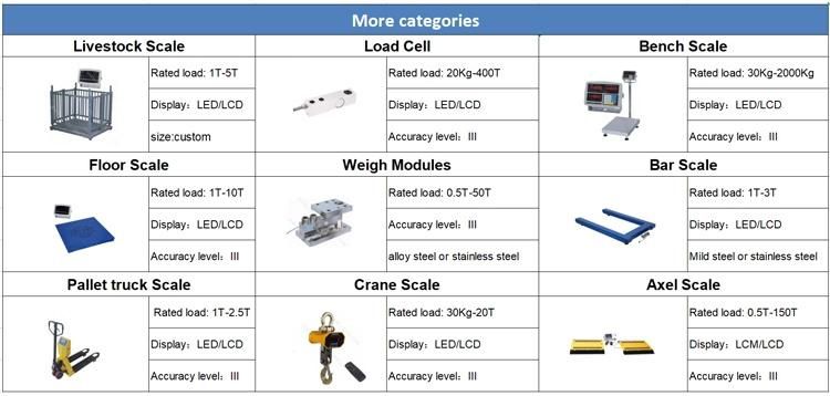 High Precision Waterproof Hook Weighing Crane Scale