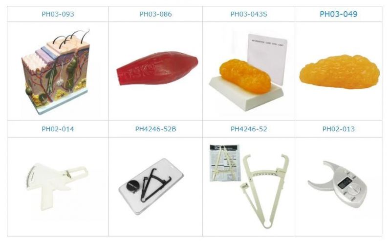 Digital Fat Tracker Body Fat Caliper Skin Fold Analyzer Measurement