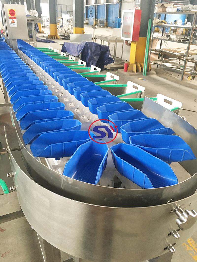 Fully Automatic Selection Weight Sorter Equipment for Classifying Fish Fillet Shrimp