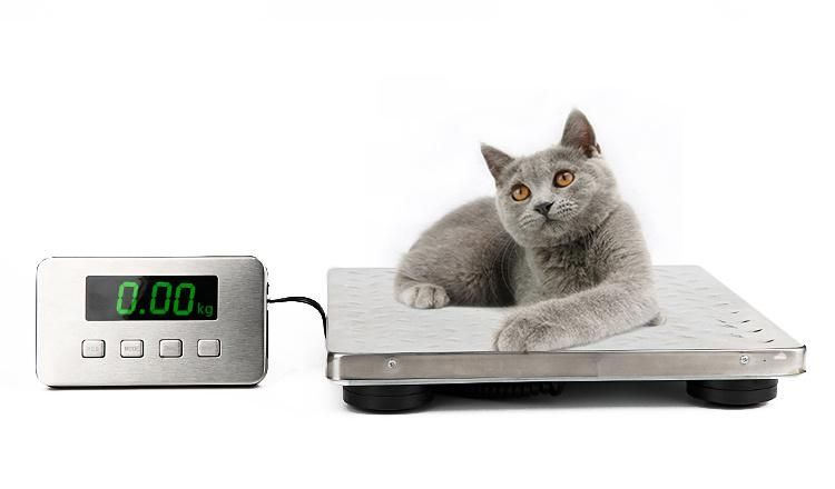 300kg Stainless Electronic Balance Digital Postal Pet Weighing Scale