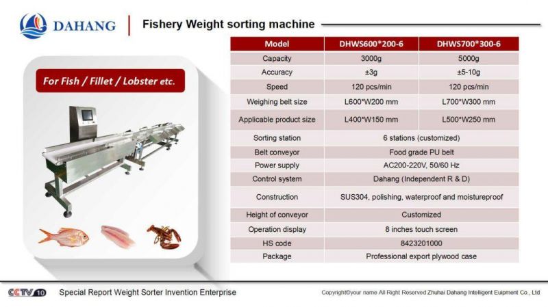 Automatic Sorting of Fish Weighing with 6 Weight Output Stations