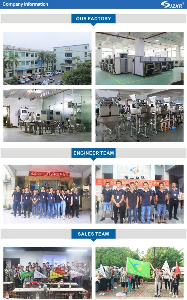 Juzheng Competitive Price Industrial Online Two Platforms Checkweigher Machine