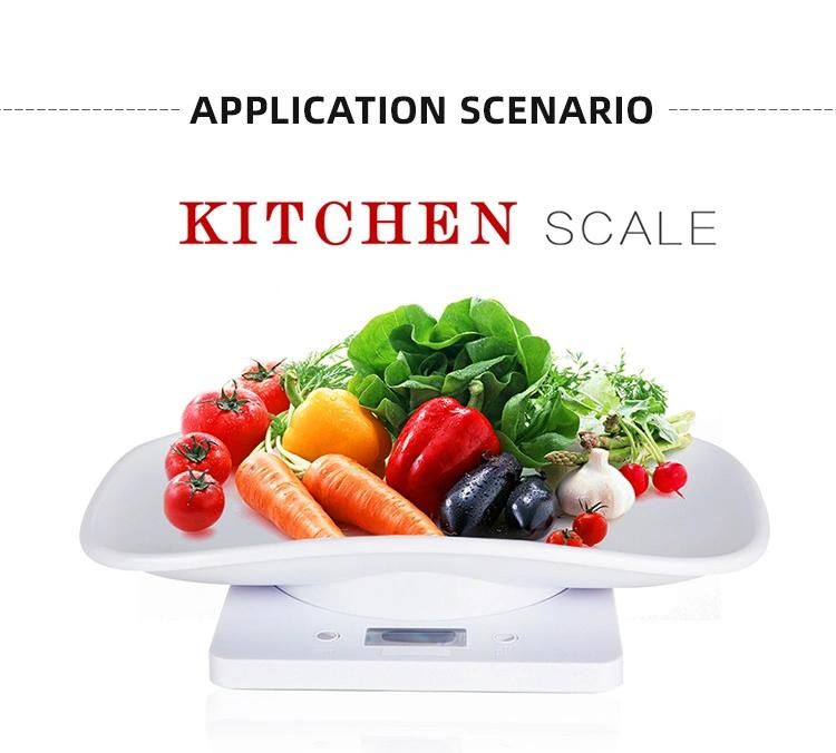 Newest Pet Scale with Tray New Design OEM ODM 10000g 1g