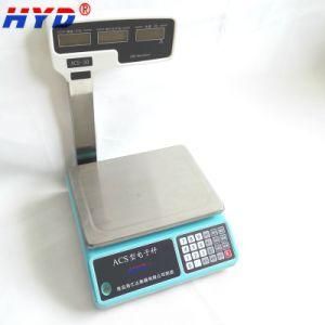 High Accuracy AC/DC Power LED/LCD Display Balance