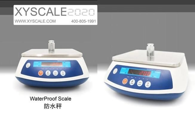 Accuracy Electric Scale