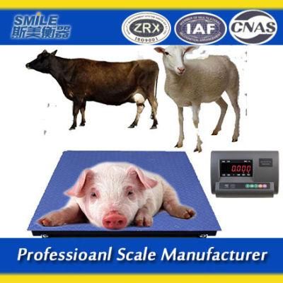 1.5*1.5m Good Quality Digital Livestock Weighing Scales for Cattle