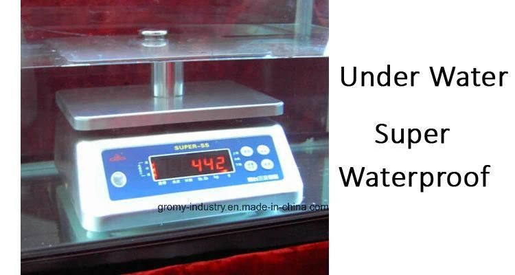 Electronic Rice Food Fish Weight Scale 30kg
