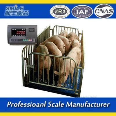 1.2*1.2m 1500kg Vet Veterinary Platform Scale for Animal Pet Dog Cat
