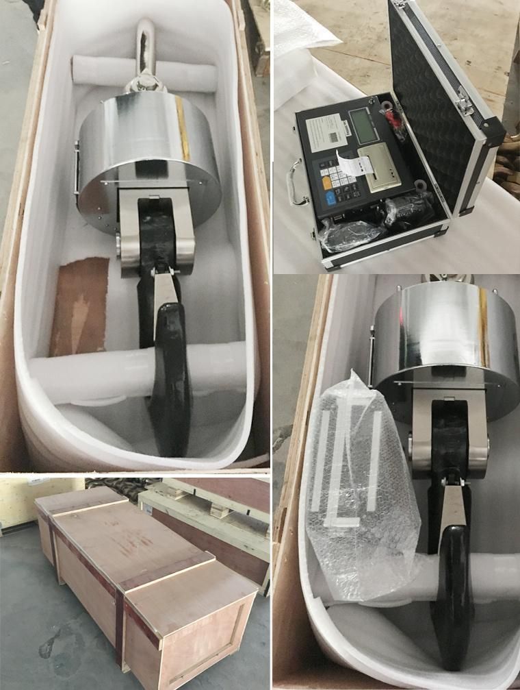 Electric Weighing Balance Digital Dillon Crane Scales