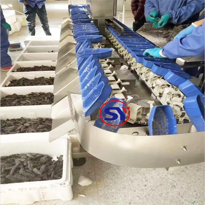 Online Weight Sorter Scales Dynamic Weighing Equipment for Sorting Cordyceps Sinensis