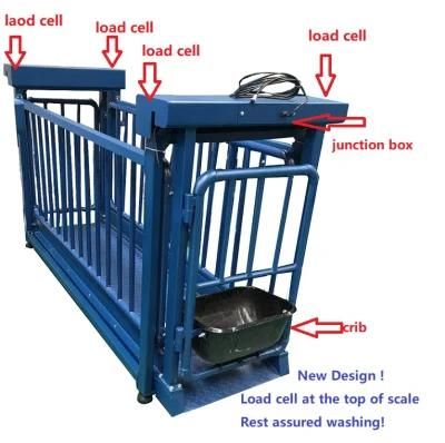 Cheap Livestock Scale or Veterinary Scale