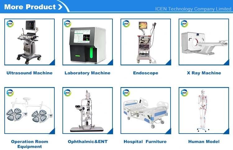 IN-BG003 laboratory equipment 300mg electronic digital analytical lab balance price