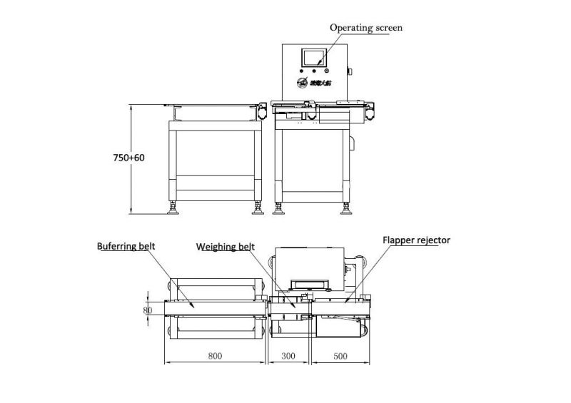 Check Weigher with Hbm Load Cell