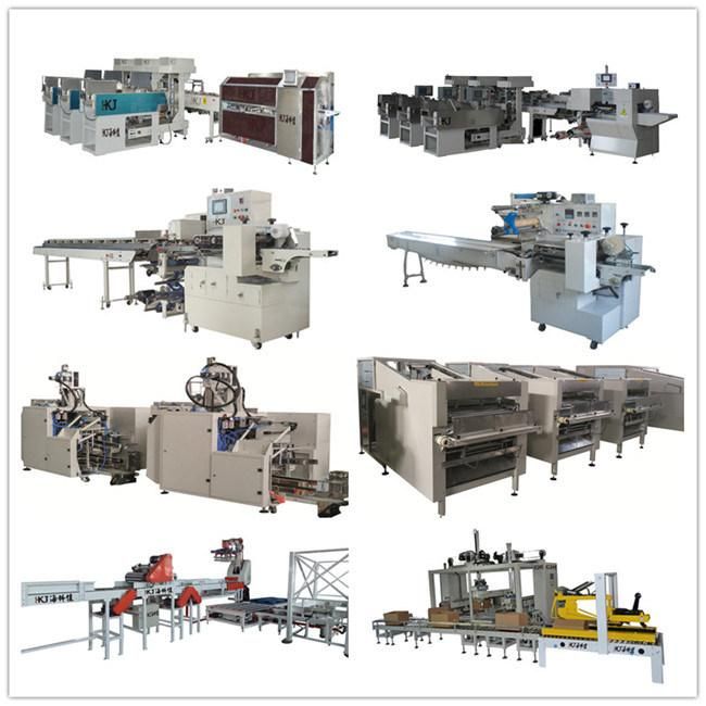 Weigher Checking Machine for Food Package (2019 new)