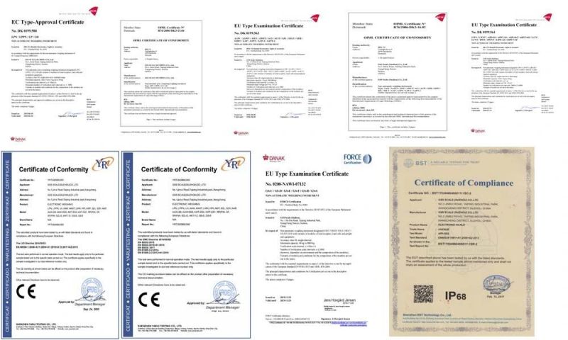 Platform Scale + EU Approved Weighing Indicator