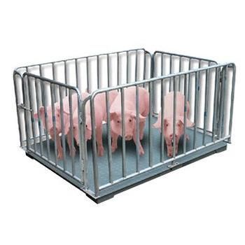 1000kg New Design Electronic Cattle Pig Cow Animal Floor Weighing Scale