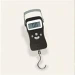 Hanging Scale (HY-304A)