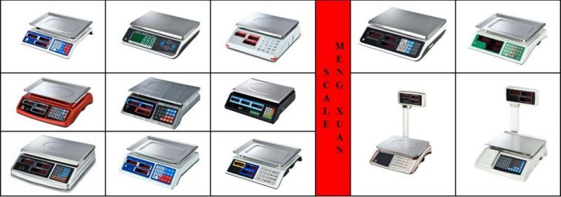 30kg Stainless Steel Digital Electronic Price Scales