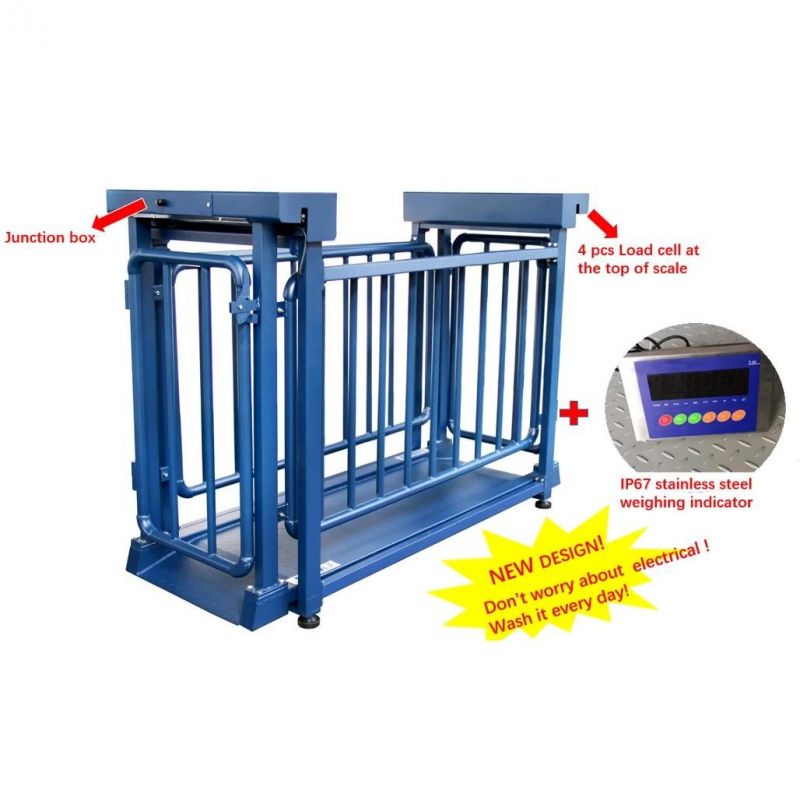 Floor Scale with Printer Weighing Scale with Automatic Alarm Calibration of Tcs Electronic Platform Scale