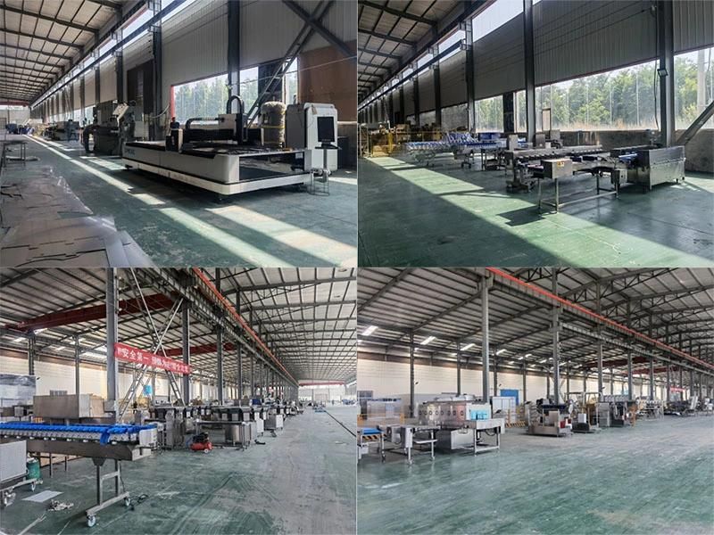 High IP Stainless Steel Weight Sorter Grader for Humid Fish Processing Workshop