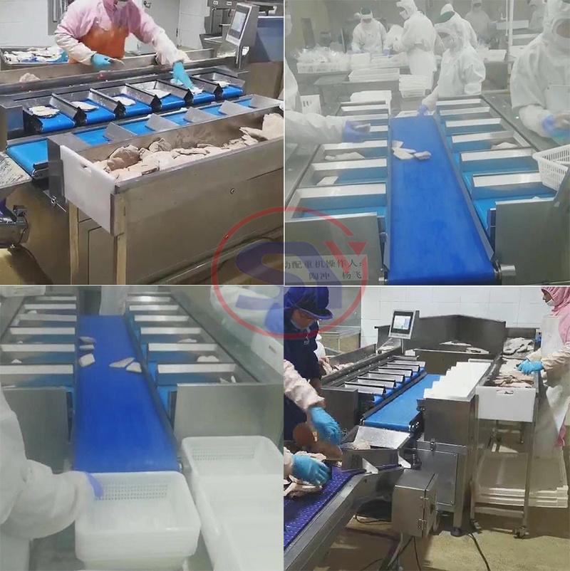 Seafood and Fruit Accurate Fixed Weight Batches Machine