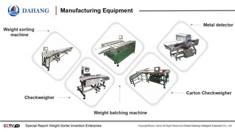 Conveyor Belt Weight Grading Equipment and Weight Sorter