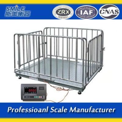 Multiple Animal Livestock Scalemobile Livestock Scale