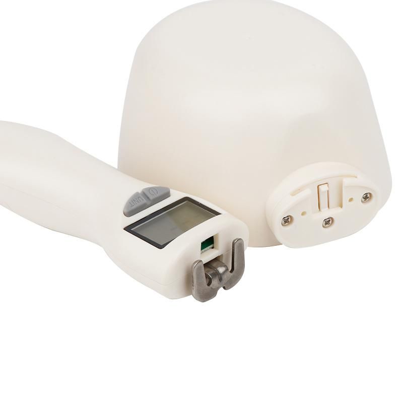 Hot Selling Pet Food Electronic Measuring Spoon Digital Weighing Scale