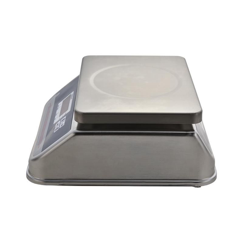 Digital Stainless Portable Weighing Scale