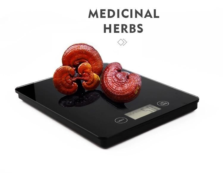 5kg Hot Selling Tempering Glass Food Scales Digital Kitchen Weighing Scale