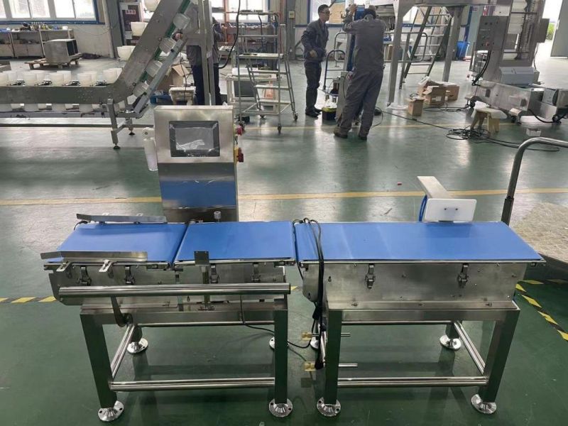 Manufacturer of Check Weight Machine 220 300 400 500 Belt Width Automatic Check Weigher