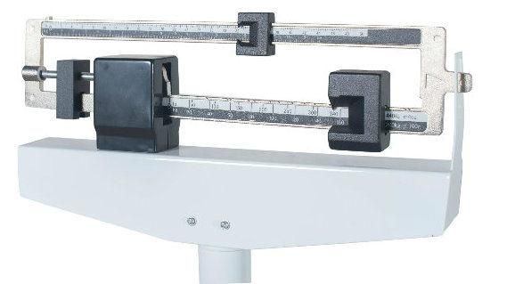 Double Ruler Body Scale; Rgt-140/160/200-Rt; Ruler Scale