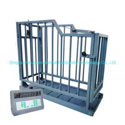 Livestock Weight Scales Animal Scales Cattle Weighing Scale